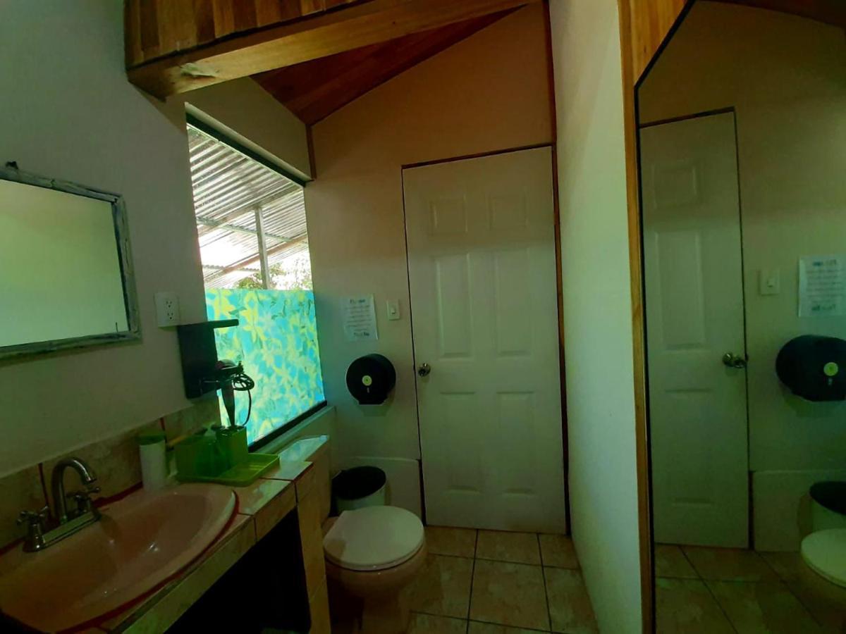 Monteverde Cecropia Paradise Extérieur photo