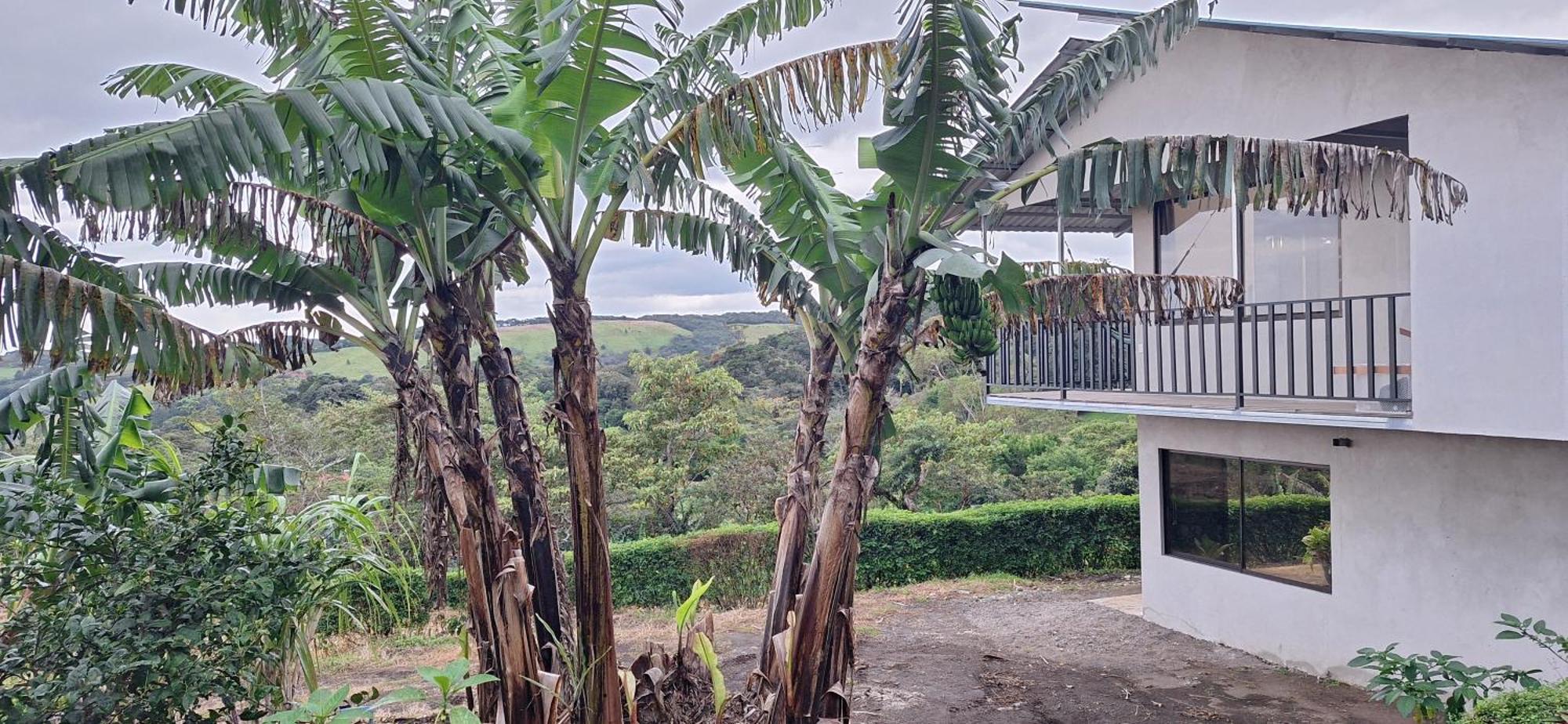 Appartement Monteverde Cecropia Paradise Chambre photo