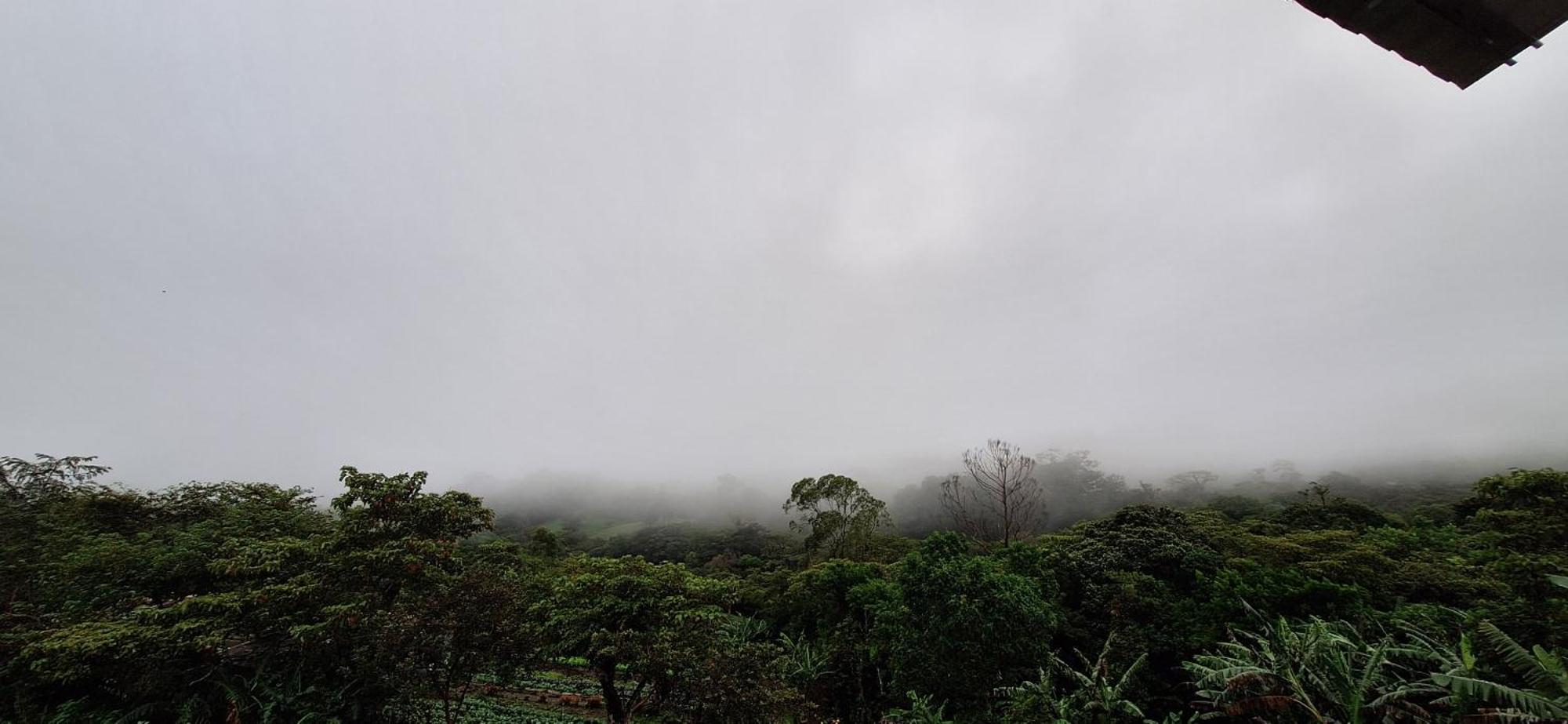 Monteverde Cecropia Paradise Chambre photo