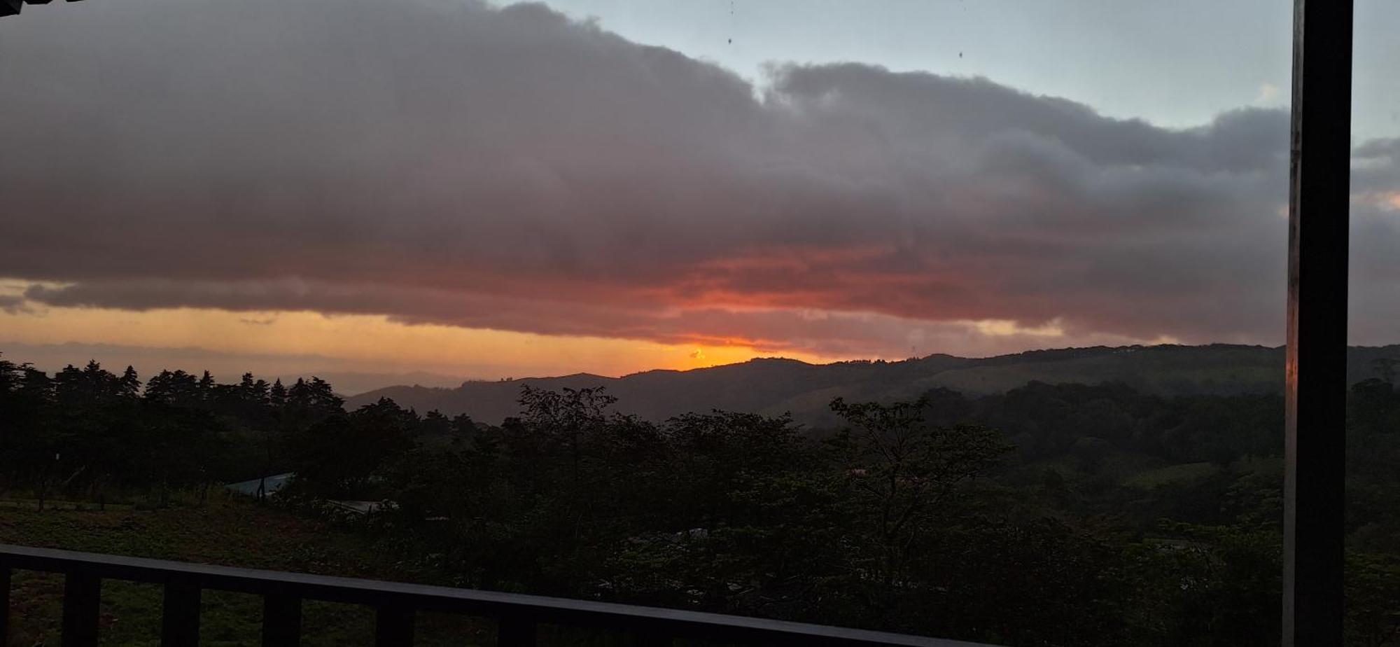 Monteverde Cecropia Paradise Chambre photo