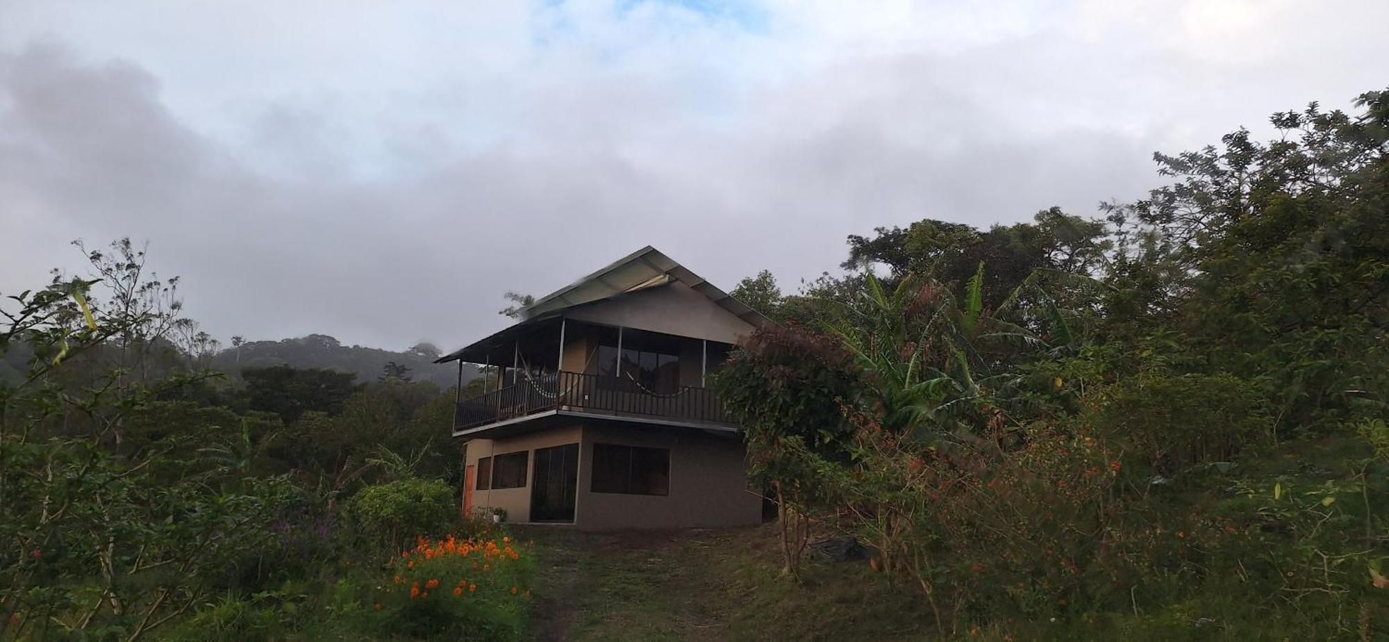 Appartement Monteverde Cecropia Paradise Extérieur photo