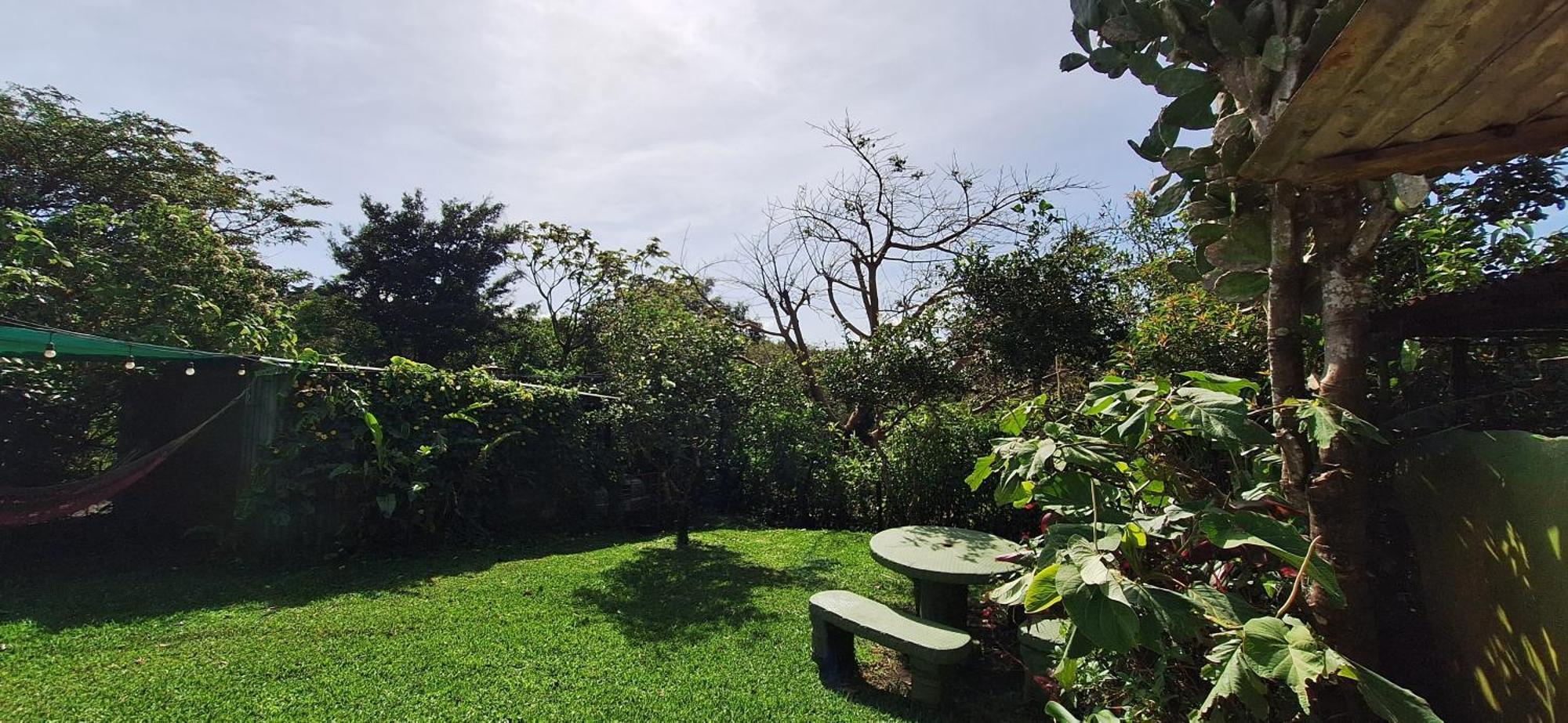 Monteverde Cecropia Paradise Chambre photo